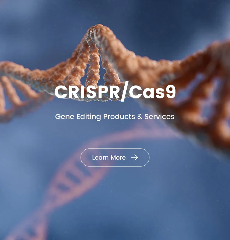 CRISPR/Cas9